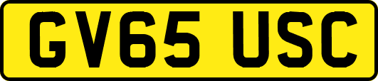GV65USC