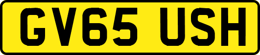 GV65USH