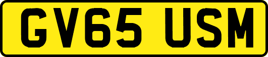 GV65USM