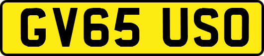 GV65USO