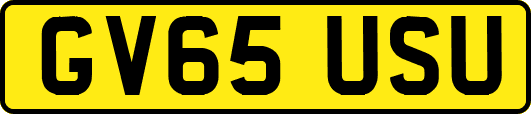 GV65USU