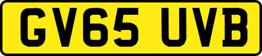 GV65UVB