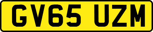 GV65UZM