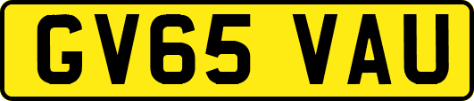 GV65VAU