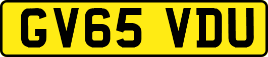 GV65VDU