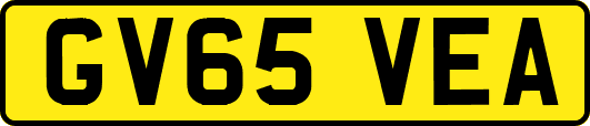 GV65VEA