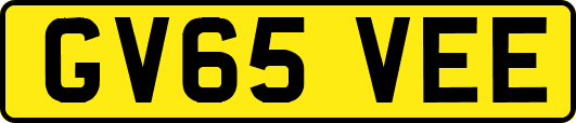 GV65VEE