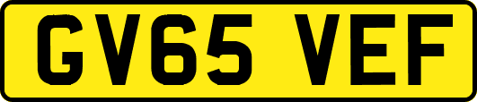 GV65VEF