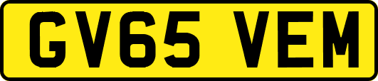 GV65VEM