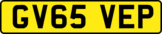 GV65VEP