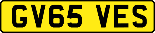 GV65VES