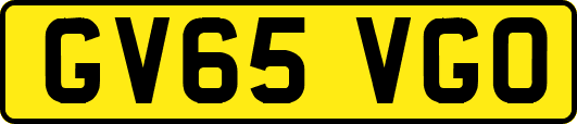 GV65VGO