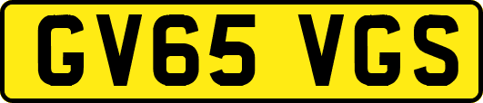 GV65VGS