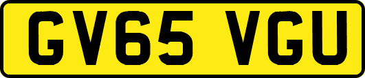 GV65VGU