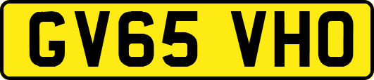 GV65VHO