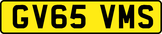 GV65VMS