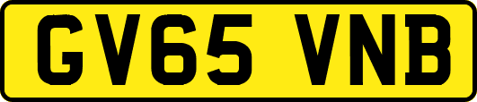 GV65VNB
