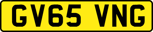 GV65VNG