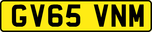GV65VNM