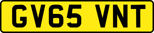 GV65VNT