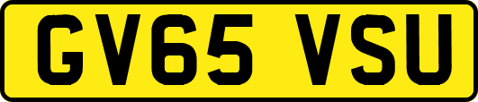GV65VSU