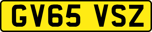 GV65VSZ