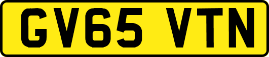 GV65VTN