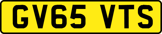 GV65VTS