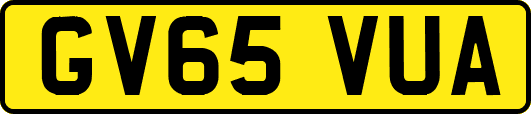 GV65VUA