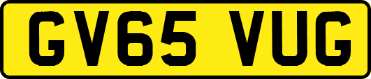 GV65VUG