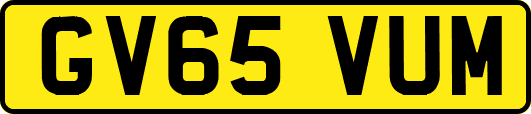 GV65VUM