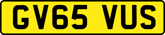 GV65VUS