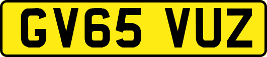 GV65VUZ