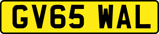 GV65WAL
