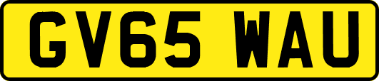 GV65WAU
