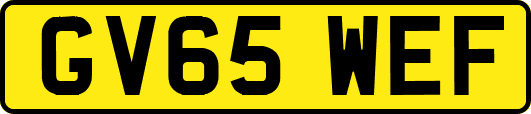 GV65WEF