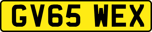 GV65WEX