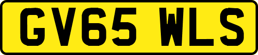 GV65WLS