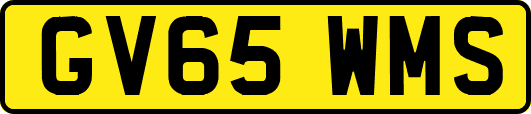 GV65WMS