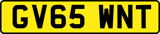 GV65WNT