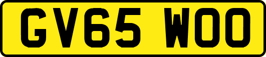 GV65WOO