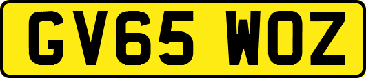 GV65WOZ