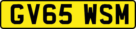 GV65WSM