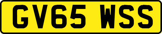 GV65WSS