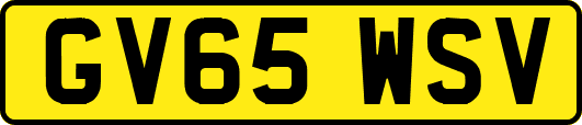 GV65WSV