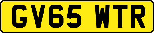 GV65WTR
