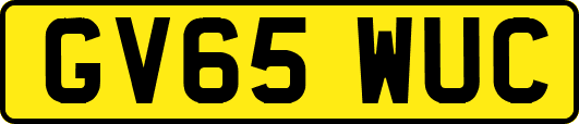 GV65WUC