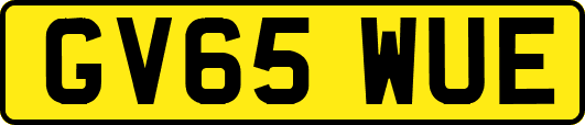 GV65WUE