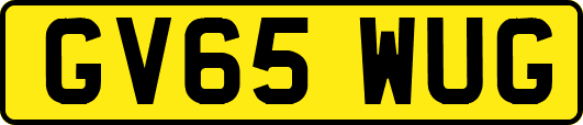 GV65WUG