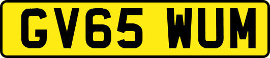GV65WUM